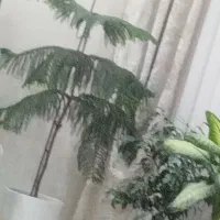 فروش باغ در مکانی بسیار زیبا