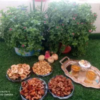 سیب خشک|خوردنی و آشامیدنی|نیشابور, هفده شهریور|دیوار