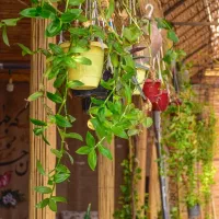 اقامتگاه بومگردی