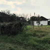 فروش زمین و خانه کلنگی با ۲۰۰نهال کیوی خونی|فروش خانه و ویلا|حویق, |دیوار