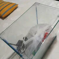 معاوضه|ماهی|دزفول, |دیوار