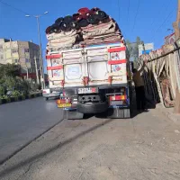 .فرش 1000شانه تراکم ۳۰۰۰رسید.