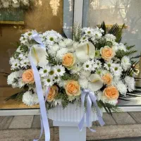 باکس گل خواستگاری،بله برون،نوزاد،ترحیم