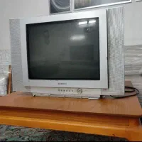 تلویزیون
