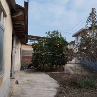 فروش فوری خونه کلنگی(نوذرآباد)|فروش زمین و ملک کلنگی|نکا, |دیوار