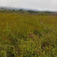 زمین مسکونی داخل شهر متری ۹ میلیون