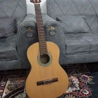 گیتار بست فان