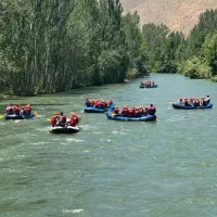 مجری تور های رفتینگ