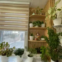 آپارتمان 78 متری گلبهار|فروش آپارتمان|گلبهار, شهر جدید گلبهار|دیوار