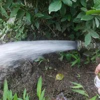 اجاره انبار سوله برای دام و طیور.... گلخانه|اجارهٔ دفتر صنعتی، کشاورزی، تجاری|املش, |دیوار