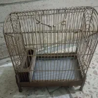 تعدادی قفس قناری و سهره و طوطی