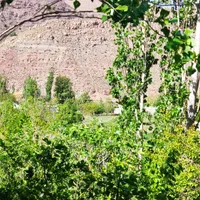 اجاره روزانه ویلا استخر دار در کوهپایه