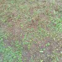 400مترزمین-درسرعین