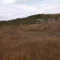 زمین-باغ