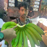 فروش عمده موز هندی|خوردنی و آشامیدنی|قم, تکیه آقا سید حسنی|دیوار