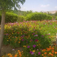 بلیط استخر کوثر