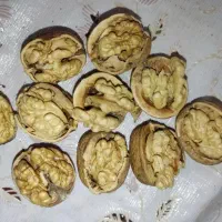 گردو تضمینی