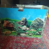 آکواریوم