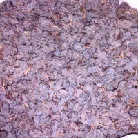 مویز بش درجه1 دشمن زیاری را مستقیم از باغ دار بخر|خوردنی و آشامیدنی|شیراز, معالی‌آباد|دیوار