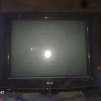تلوزیون شرط سالمه