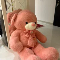 خرس|اسباب‌‌بازی|مشهد, صیاد شیرازی|دیوار