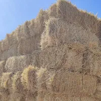تحویل پرس سفال گندم و جو   کاه و یونجه،