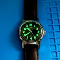 وستن واچ کوکی بینظیر