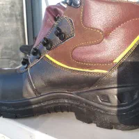 فقط یک‌ میلیون