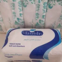 مستقیم از تولید کننده خرید کنید|مواد شوینده و دستمال کاغذی|قم, شاه ابراهیم|دیوار