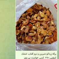 برگه