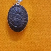 مهره گبری شرطی