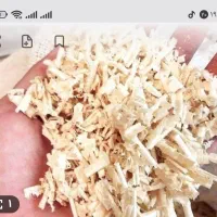 پوشال برای حیوانات