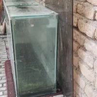 آکواریوم بزرگ شیشه ۱۰میل|ماهی|کرمانشاه, |دیوار