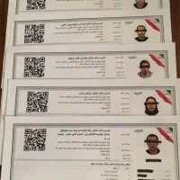 حل مشکل چک دیجیتال با صدور جواز صد درصد تضمینی|خدمات مالی، حسابداری، بیمه|بوکان, |دیوار