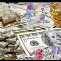 ضامن ایسدیرم