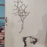 سمپاشی و موریانه زدایی