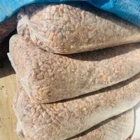 خرما|خوردنی و آشامیدنی|زرین دشت (فارس), |دیوار