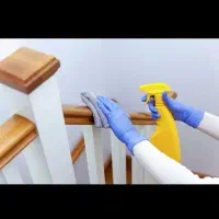 نظافت خونگی