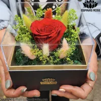 باکس طرح مانا  گل رز جاودان جاویدان کادو روز مادر