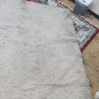 قالیچه|فرش|بندرعباس, |دیوار