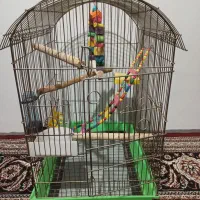 قفس|لوازم جانبی حیوانات|همدان, |دیوار