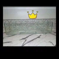 آکواریوم،قارچ،مجالس،همستر،حلزون