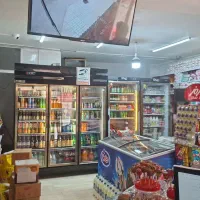 فروشنده همکار خانم مسلط به فروشندگی و چیدمان