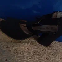 چن جفت کفش زنانه سایز 37 و 38