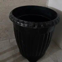 گلدان و درختچه|گل مصنوعی|تهران, نیروی هوایی (پیروزی)|دیوار