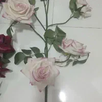 گل مصنوعی|گل مصنوعی|کوهدشت, |دیوار