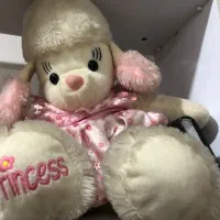 عروسک پرنسسی