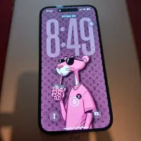 ایفون ۱۴ پرو مکس با ریجستری