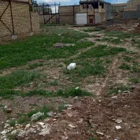 فروش-زمین
