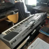 ارگ pa50 در موزیک ارژنگ|پیانو، کیبورد، آکاردئون|پردیس, فاز ۳|دیوار